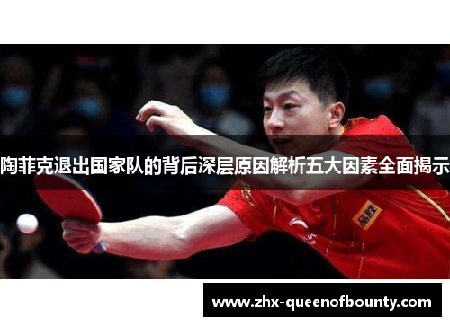陶菲克退出国家队的背后深层原因解析五大因素全面揭示