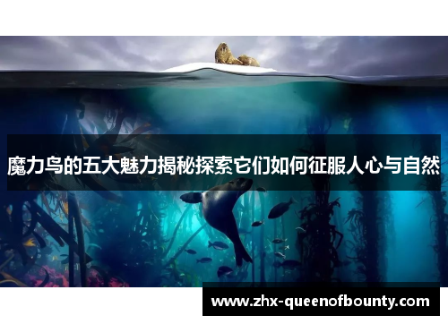 魔力鸟的五大魅力揭秘探索它们如何征服人心与自然